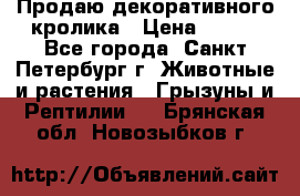 Продаю декоративного кролика › Цена ­ 500 - Все города, Санкт-Петербург г. Животные и растения » Грызуны и Рептилии   . Брянская обл.,Новозыбков г.